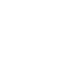 Theme Icon
